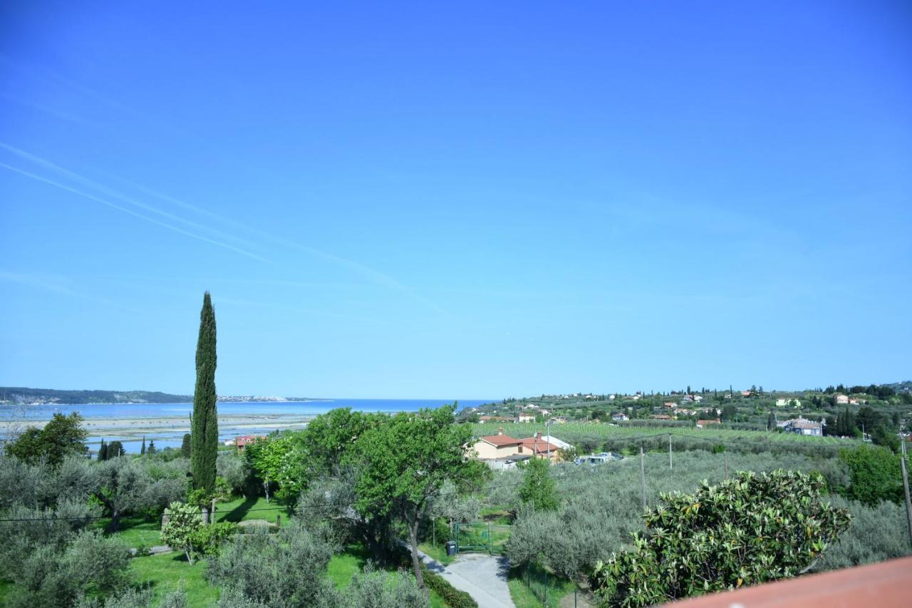 Burja * Portorose