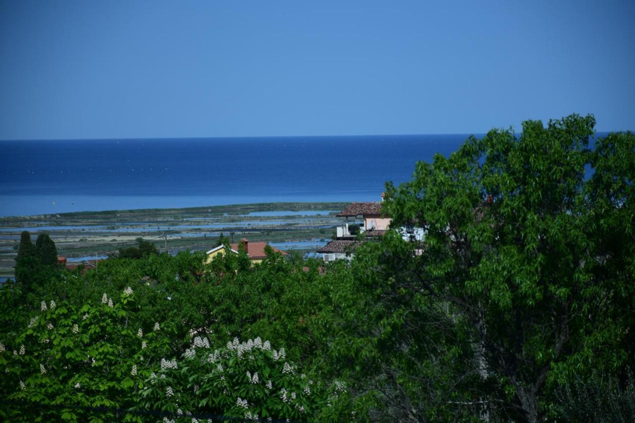 Appartamento Burja Portorose