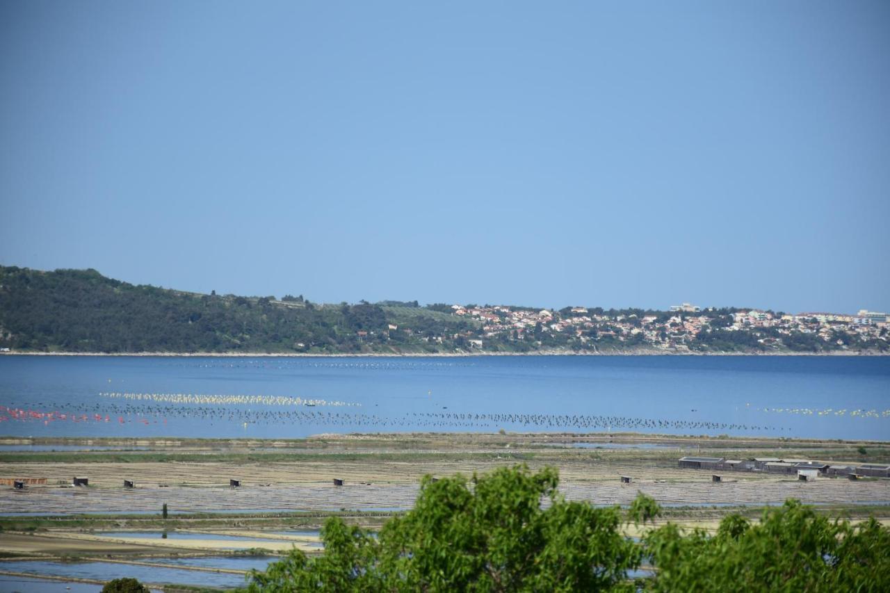Appartamento Burja Portorose
