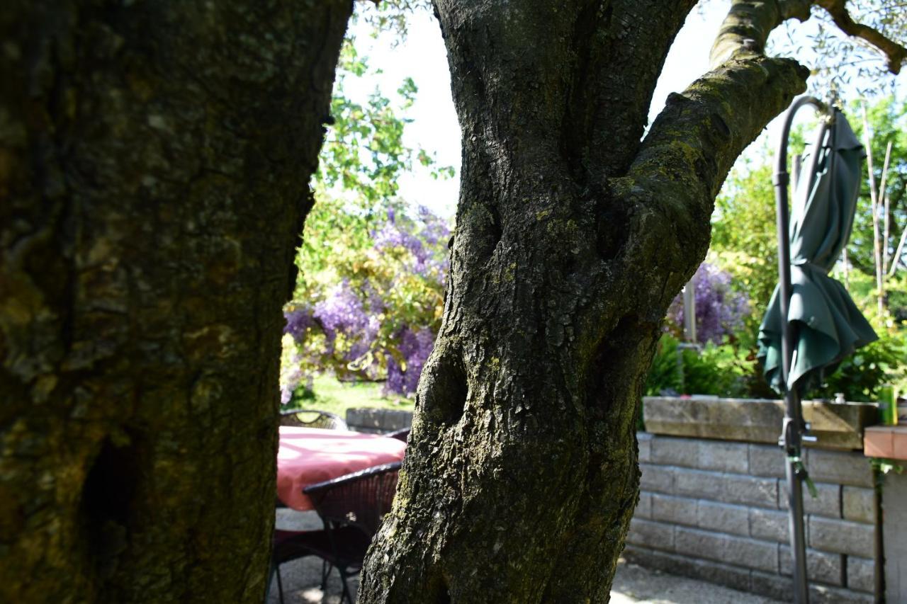 Burja Apartamento *