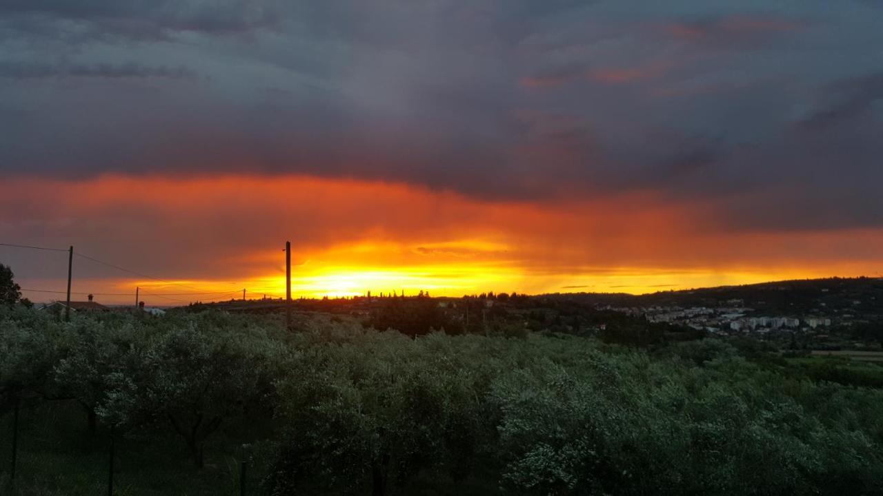 Burja Apartamento